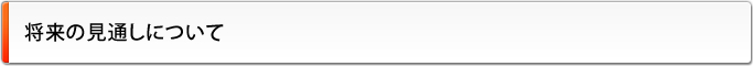 将来の見通しについて