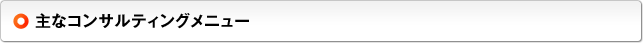 主なコンサルティングメニュー