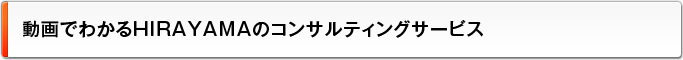 動画でわかるHIRAYAMAのコンサルティングサービス