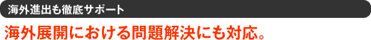 海外進出も徹底サポート　海外展開における問題解決にも対応。