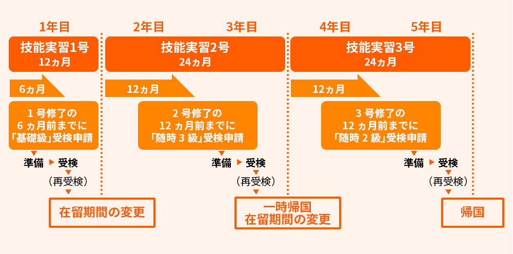 技能実習制度の期間