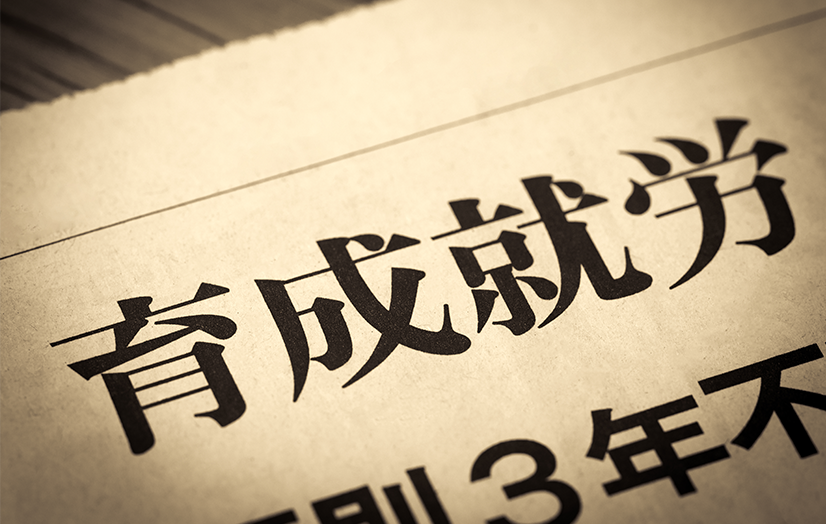 育成就労制度のイメージ