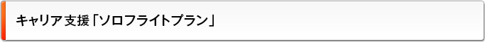 キャリア支援「ソロフライトプラン」