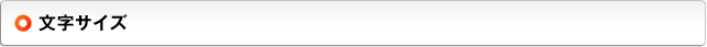 文字サイズ